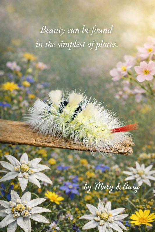 Set di 3 Poster Naturalistici Stampabili | Calm Home Decor | Poster Fotografici Motivazionali | Download Digitale A3 A4 A5 8x10 11x14
