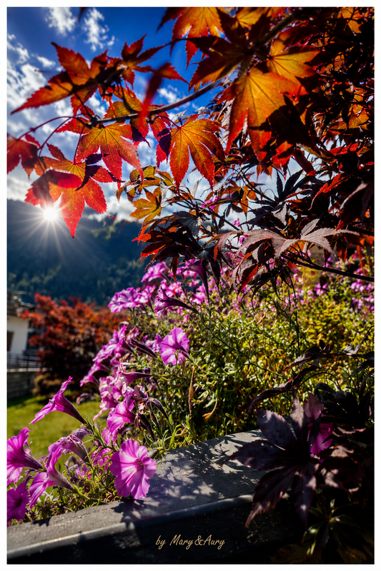 Giardino fiorito tra montagne e cielo – poster autunnale Mary&Aury